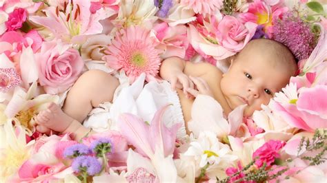 Cute Flower Wallpapers - WallpaperSafari