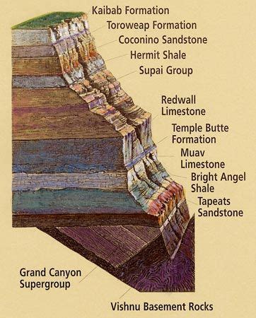 Grand Canyon Rock Layers | Geology, Geology rocks, Rock