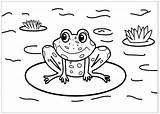 Frog coloring Page For Children  Coloring Pages sketch template