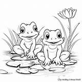 Pond Animals Coloring Pages  Free & Printable sketch template