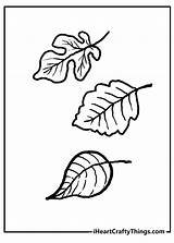 Fall Leaves Coloring Pages 100% Free Printables sketch template