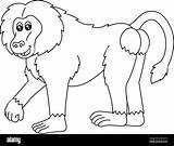Baboon Coloring Page Isolated For Kids Stock Vector Image & Art  Alamy sketch template
