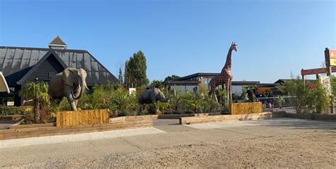 Colchester Zoo - 2020 All You Need to Know BEFORE You Go (with Photos ...