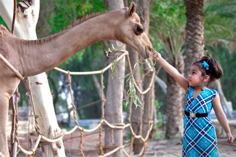 Family activities in Bahrain: Fun things to do with your kids in the ...