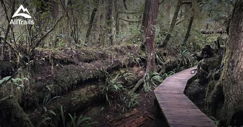 Best Trails in Pacific Rim National Park Reserve - British Columbia, Canada | AllTrails