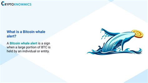 PPT - Crypto Whale alert: What is it? PowerPoint Presentation, free download - ID:11356477