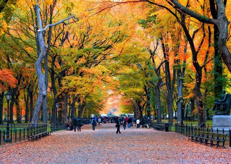 5 Fun Ways to See Fall Foliage in NYC