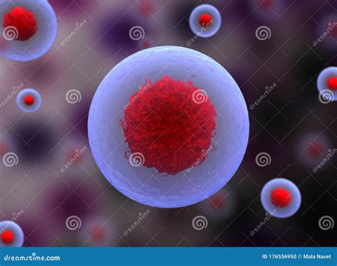 Nucleolus, Nucleus, 3d Stem Cell. Stock Illustration - Illustration of microorganisms, embryo ...