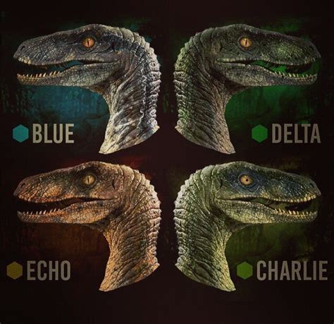 Raptor Squad(Blue,Delta,Echo and Charlie) - Jurassic World Photo ...