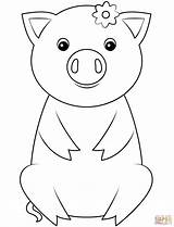 Desenho De Porco Para colorir  Desenhos E Imprimir Gratis sketch template