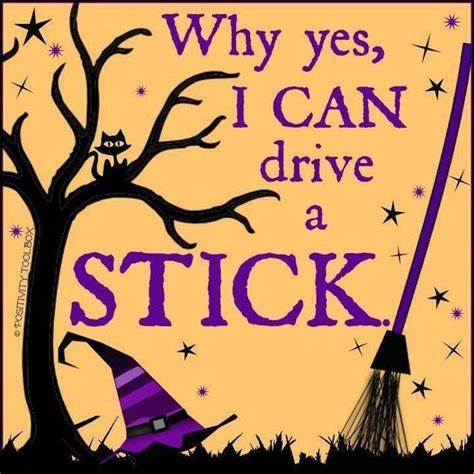 Quotes About Witches On Brooms. QuotesGram