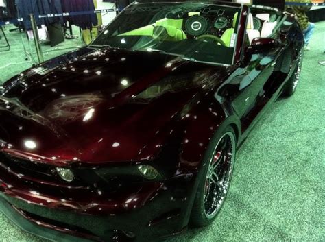Black Cherry Mustang | Custom cars paint, Car painting, Car paint colors