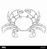 Blue Crab Coloring Pages sketch template
