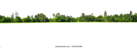 390,297 Sky & Tree Line Images, Stock Photos & Vectors | Shutterstock
