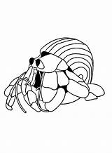 Hermit Crab Underwater Coloring Page  Free Printable Pages sketch template