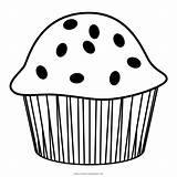 Muffin Coloring Page  Ultra Pages sketch template