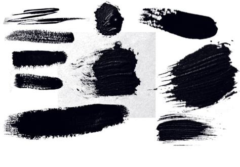 Filbert Paint Brush Pack | Free Photoshop Brushes at Brusheezy!