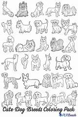 Coloring Pages Dog Breeds  Easy For Kids sketch template