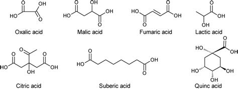 Homebrew Science: Sour Hour! ~ The Buzz: Siciliano's Market News & Notes