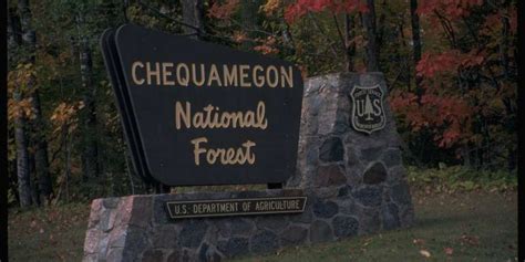 Chequamegon-Nicolet National Forest-Park Falls | Travel Wisconsin | Wisconsin travel, Park falls ...