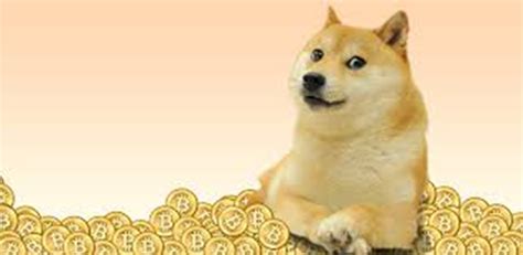 Dogecoin Miner on Windows PC Download Free - 1.3.6 - com.patassoft.dogeminer