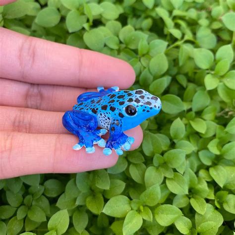 dart frog, tiny frog, polymer clay Blue Poison Dart Frog, Poison Dart Frogs, Snake Photos ...