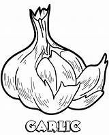 Garlic Coloring Pages  Best For Kids sketch template