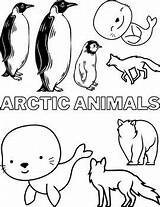 arctic animals coloring Page Printable Winter For Kids sketch template