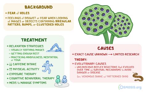 Trypophobia: What Is It, Causes, Treatment | Osmosis