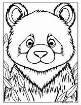 24 Panda Coloring Pages Free Printable PDFs sketch template