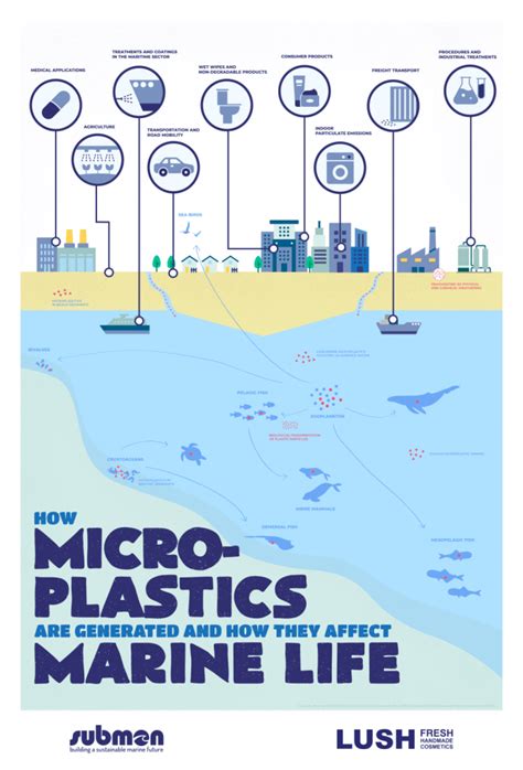 Infographic: How are microplastics generated and how do they affect ...