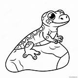 Cute Gecko On A Rock Coloring Page 29485 23289 sketch template