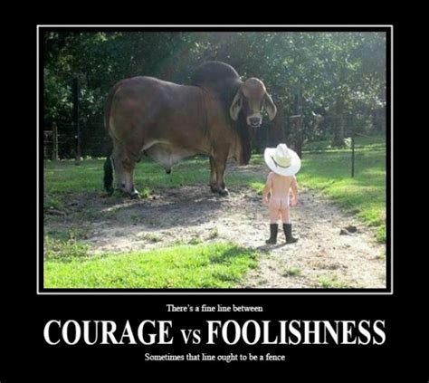 Courage vs Foolishness - Meme Guy