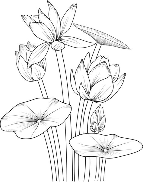 Lotus flower pencil art, Black and white outline vector coloring page and book for adults and ...