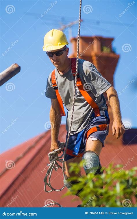 Tree Feller at work stock photo. Image of safety, worker - 78461148