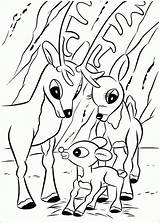 Rudolph The Red Nosed Reindeer And Clarice Coloring Pages sketch template