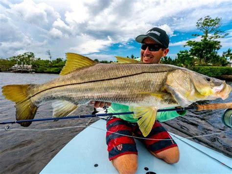 What Does a Snook Fish Look Like - Fishing Form