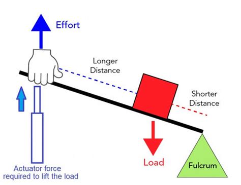 Calculator for a Second Class Lever | FIRGELLI Automations