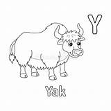 Colouring Yak Stock Illustrations – 56  sketch template