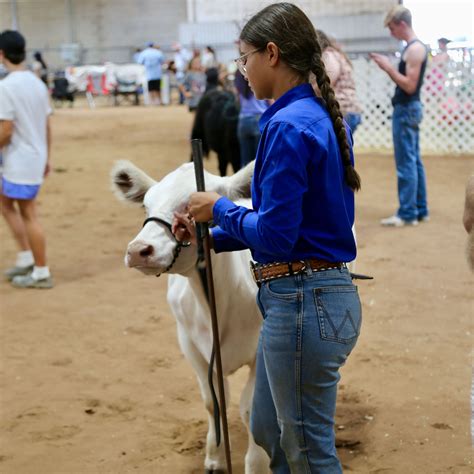 Fair 2023 | Cleveland County Fairgrounds - Official Website