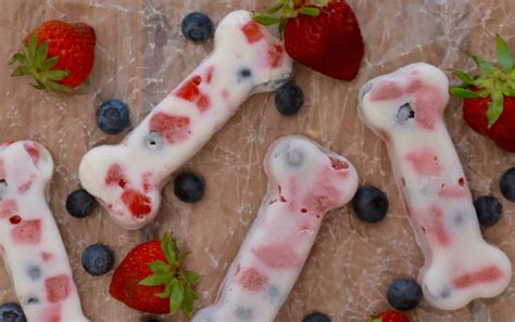 15 Frozen Dog Treat Recipes to Make This Summer