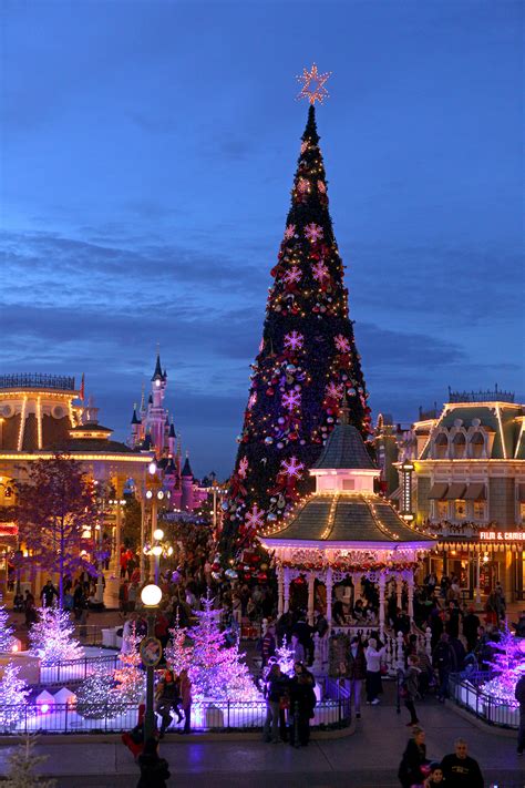 Disneyland Paris, Disney's Enchanted Christmas - Christmas Tree With ...