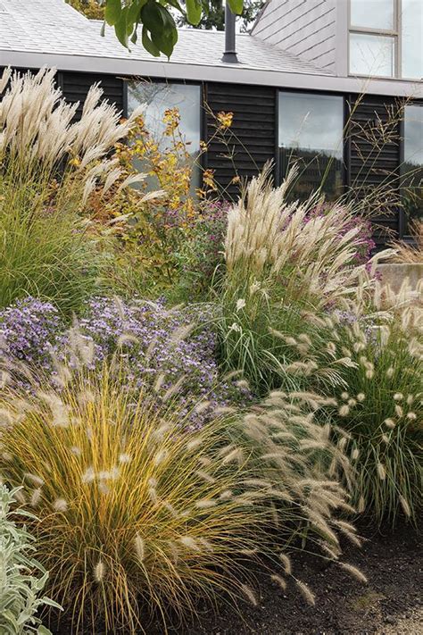 Landscape Design with Ornamental Grasses: Top 5 ways