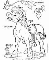 Coloring Pages For Colors  Home sketch template