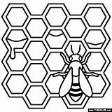 Honeycomb Coloring Page At Getdrawings Free Download sketch template
