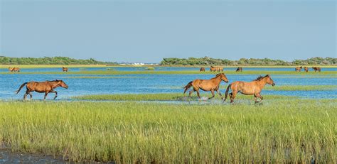 Emerald Isle Parks & Outdoors | National Parks, Seashores & Nature Areas