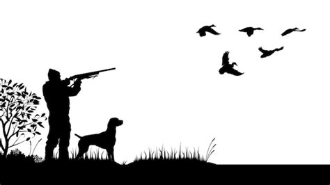 Premium Vector | Duck Hunting Silhouette
