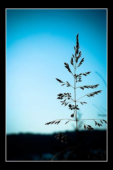 Blue Sky Photograph Nature Photo Print Fine Art Photography - Etsy