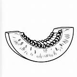 Cantaloupe outline Black And White Cute coloring Book  Premium AI sketch template