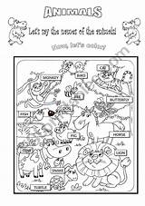 Animals Coloring Pictionary  ESL Worksheet By PabloHenrique sketch template